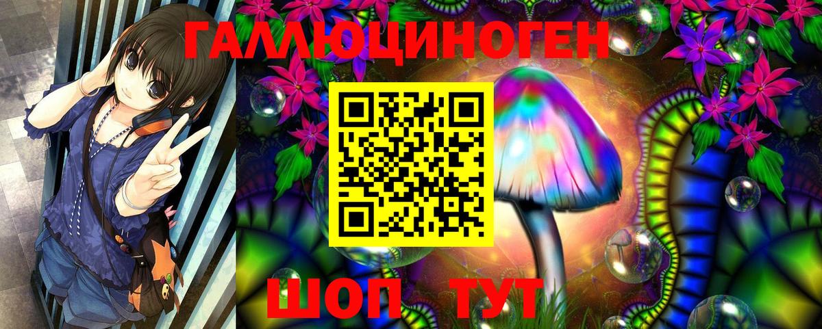 Псилоцибиновые грибы Psilocybine cubensis  Вход с VPN  Иваново  Галлюциногенные грибы Psilocybine cubensis 