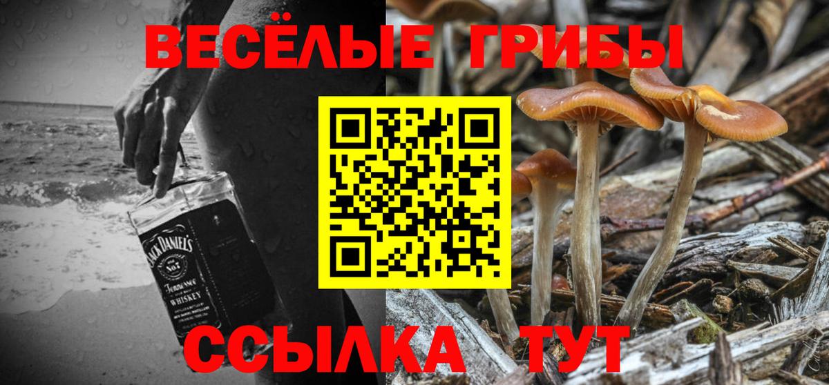 Псилоцибиновые грибы Psilocybe Иваново